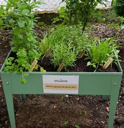 Hufelandstern Bis 7 Personen - Mit E-ladesaeule! *